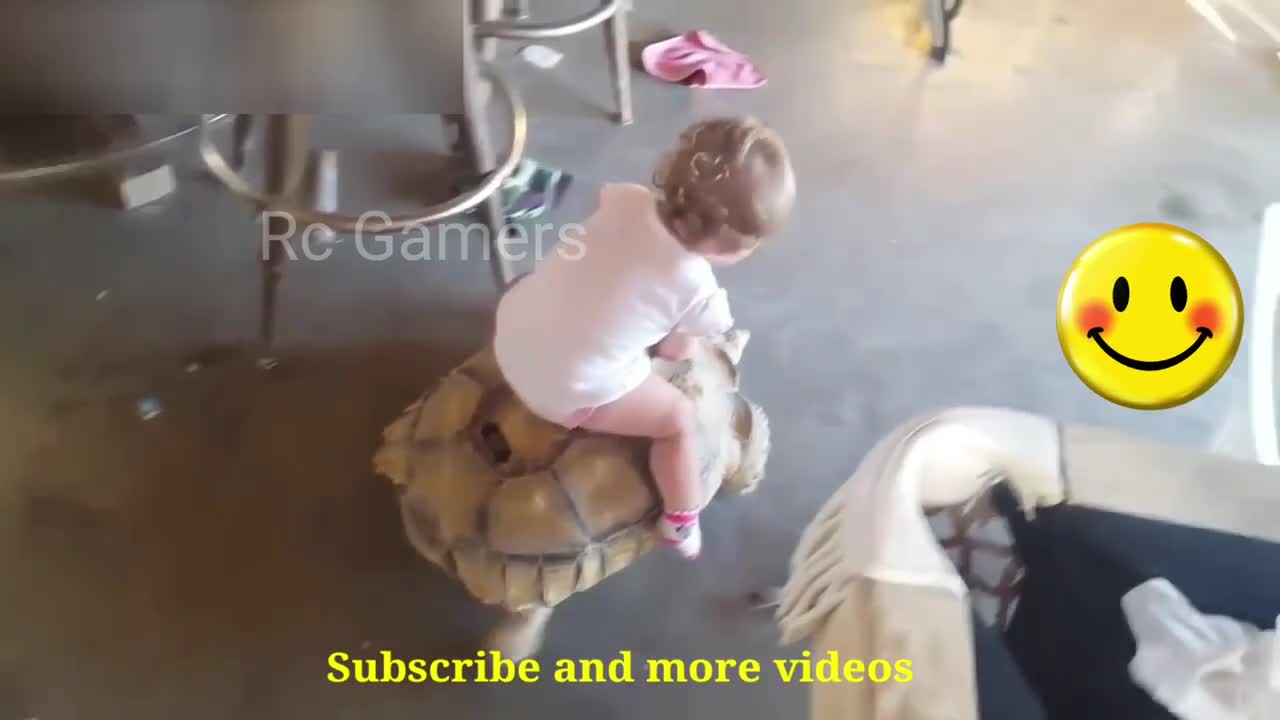 cute baby riding Tortoise 🐢|| funny video || funny animal