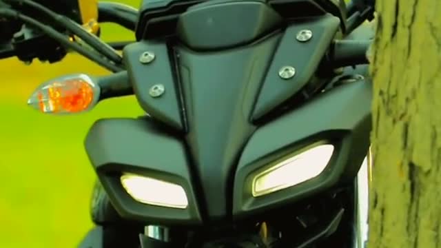 Rider Highlights