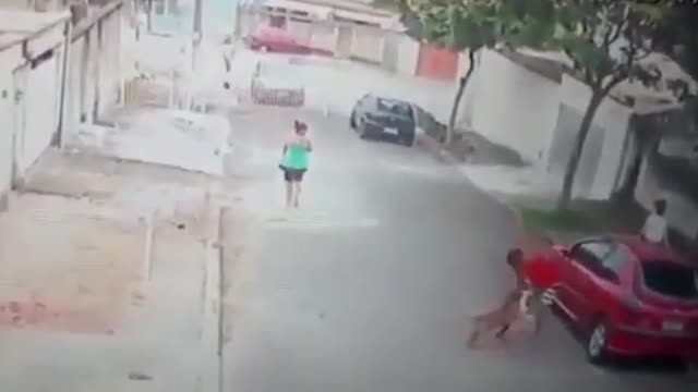 man fights with dog to save child