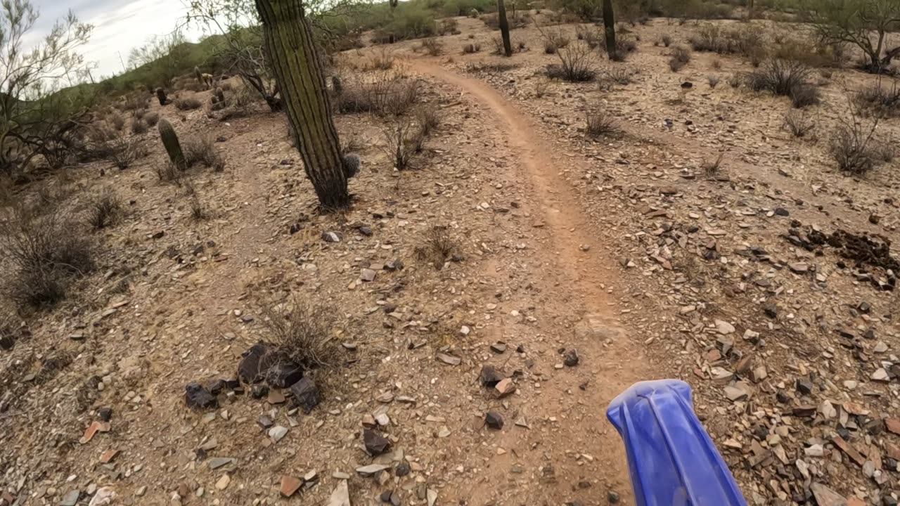 First ride 2023 YZ250X