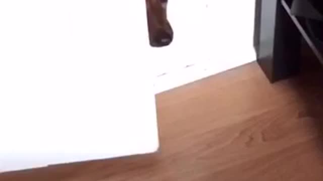 Peeking in