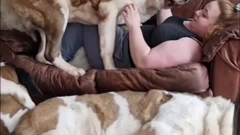 Woman vs dog funny video