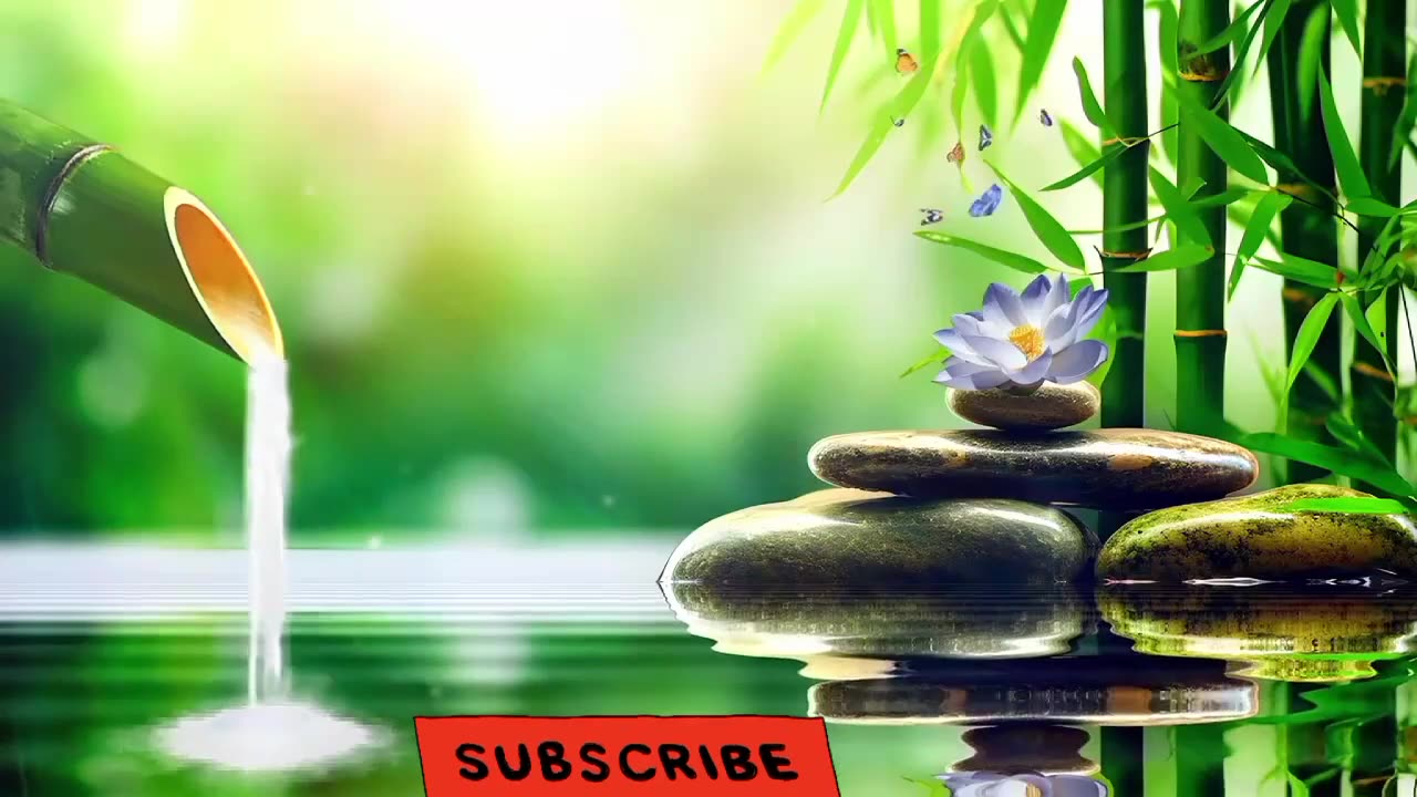 Meditation Music, Bamboo Water Sound, Stress Relief Music, #meditation #relaxingmusic #calm