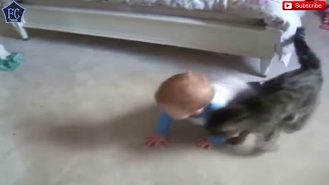 Amazing Cat protecting babies 2018