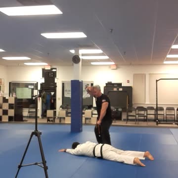 Tong Hap Kwan Hapkido/Hoshinsul Techniques
