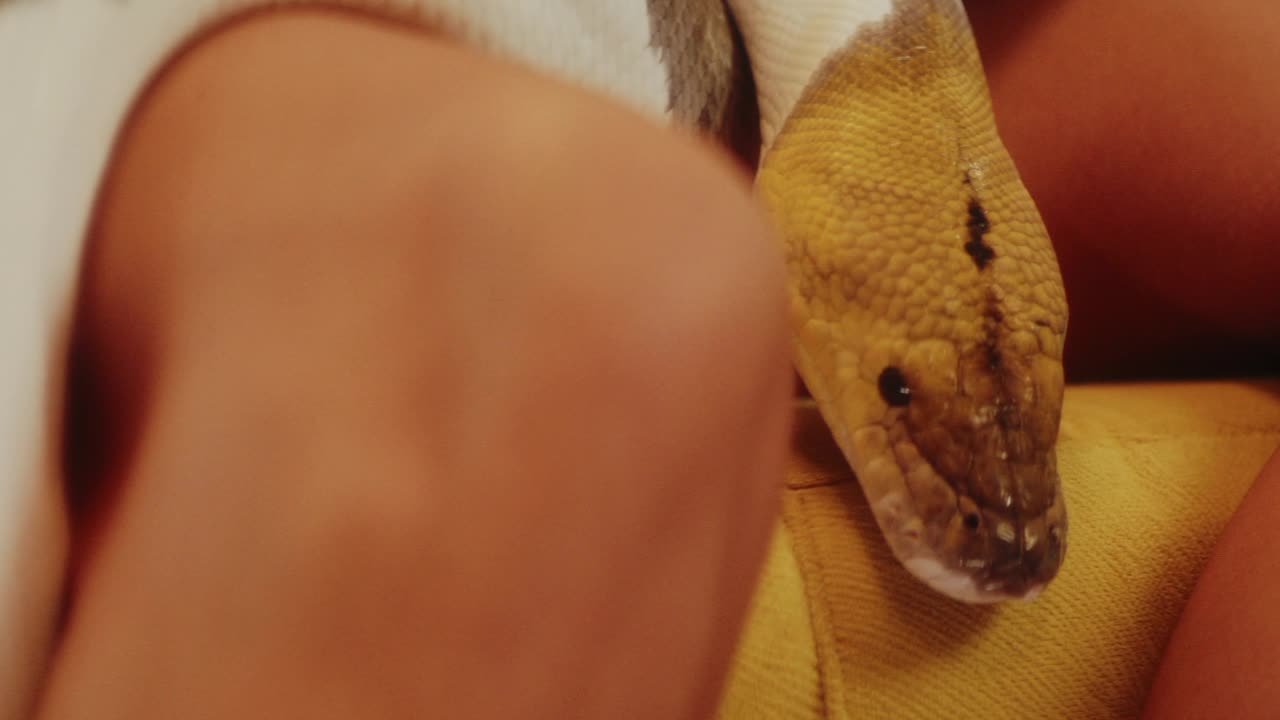 Dare to try it yourself?Watch as this young man handles a snake with his feet