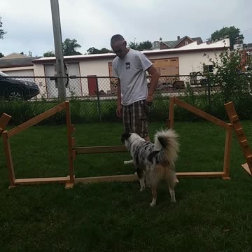 Hurdles Sit to Jump B