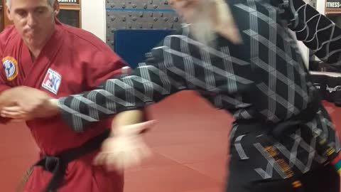 Hapkido Flow Drill