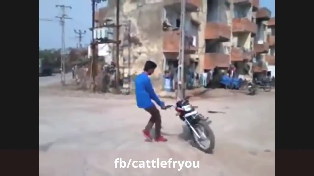 Funny animal attack on people