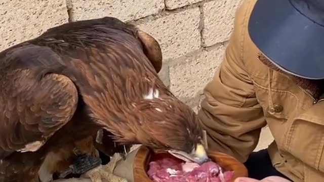 #shorts #2022 funny,prank,funjokes,dad jokes,funny memes,funny video,fun,laughing,funny animal,knock