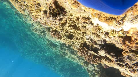 Cherri dove for treasure