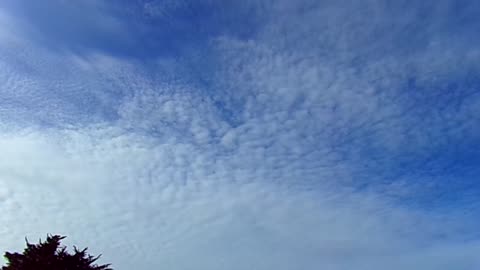 Farting the Chemtrails away 11/10/23: