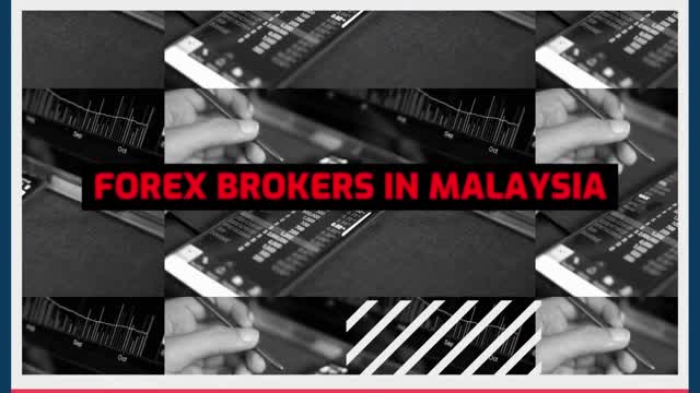 Best Webmoney Forex Brokers In Malaysia 💸 Forex Brokers 💸