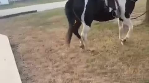 #fails#funny
