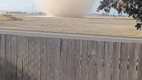 Large And Silent Dust Devil Sweeps Across Backyard