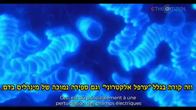 בחיסון השלישי אין פלסבו ותראו מה קורה לדם של אנשים שקיבלו את הדבר האמיתי בסרטון