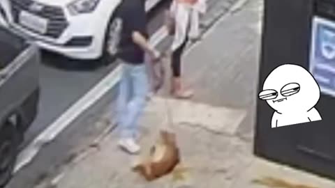 Dog...