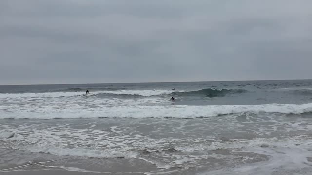 Nice day surf