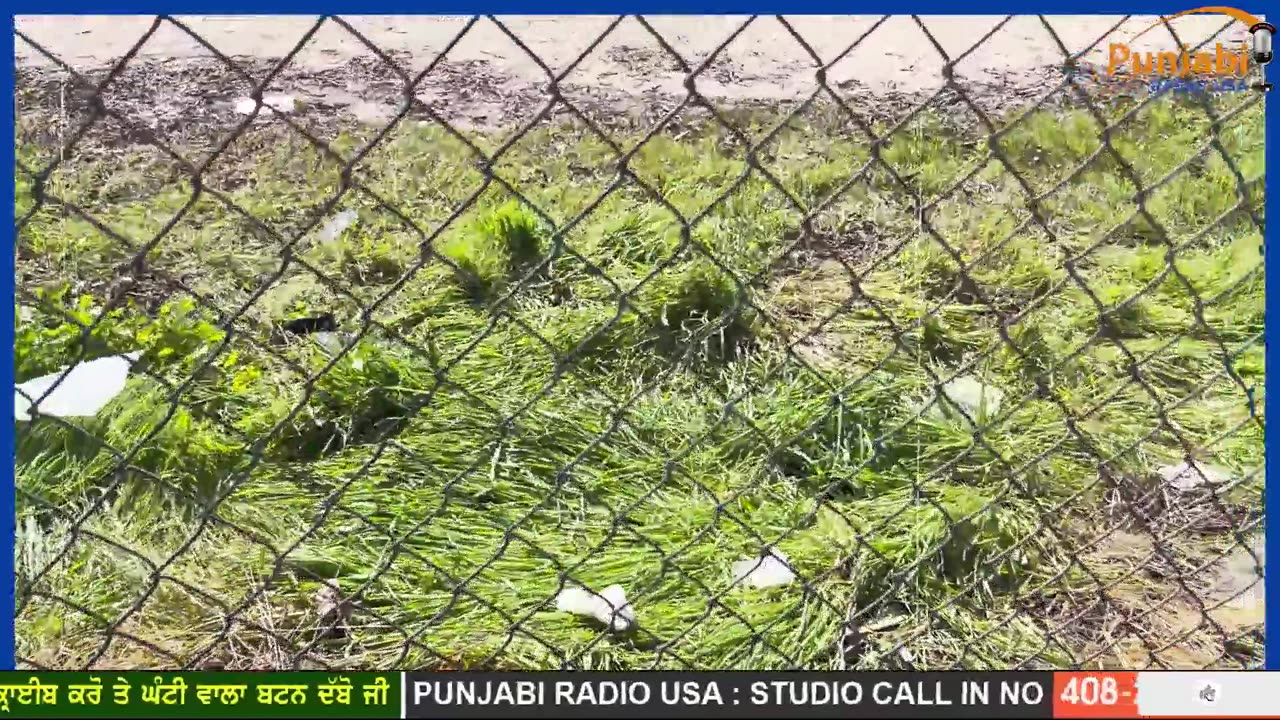 Punjabi Radio USA Live