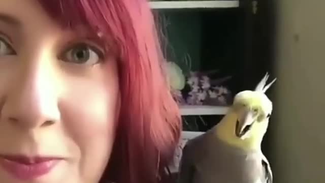 The parrot is imitating her! #parrot, #parrotvideo