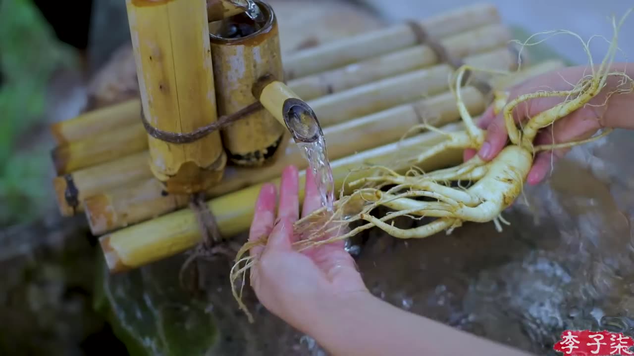 Ginseng honey is a traditional tonic *#in Changbai Mountain region / Liziqi