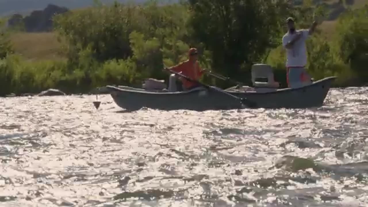 NEW WILD ADVENTURE VIDEO