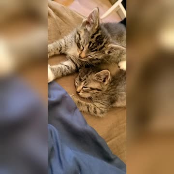 Summertime in the "LAC"