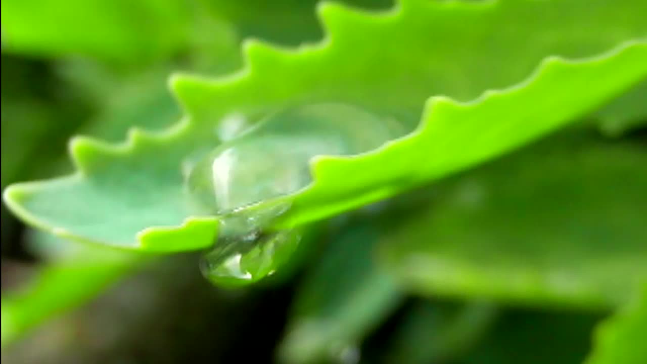 Water drop in slow motion CC-BY NatureClip