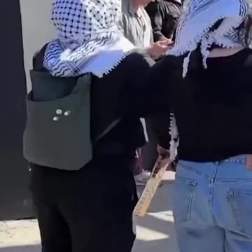 Guests attending The Oscars push Palestinian activists out the way after they