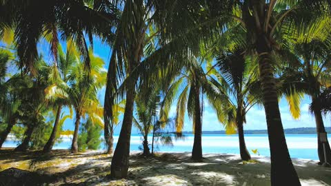 Full Relaxation on Tropical Island with Soothing Waves & Paradise View