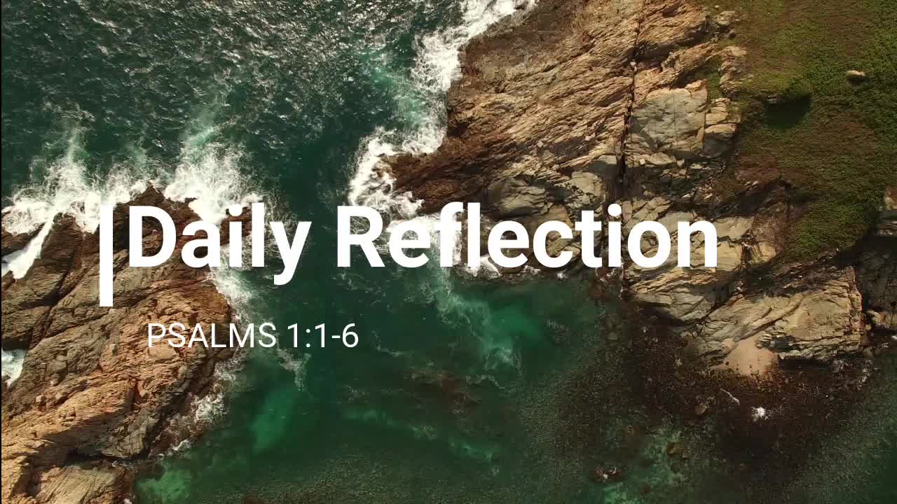 Daily Reflection - Psalms 1