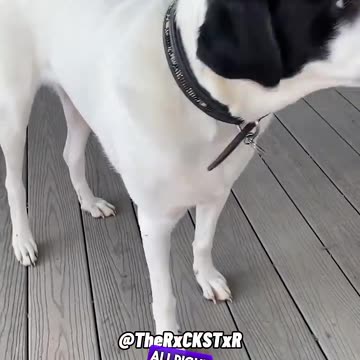 yeah but, we don't chew on this