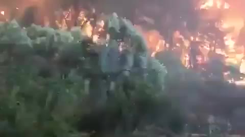 Animals screaming while forest fire..