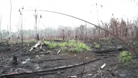 La Amazonía brasileña registra en junio mayor número de incendios desde 2007