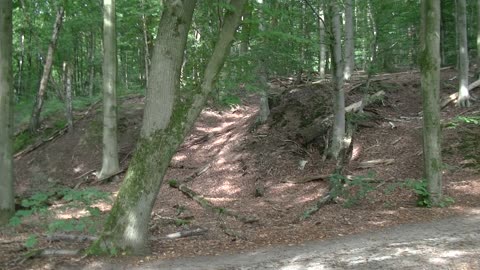 Mooie Opnamen in de Natuur van Doorwerth