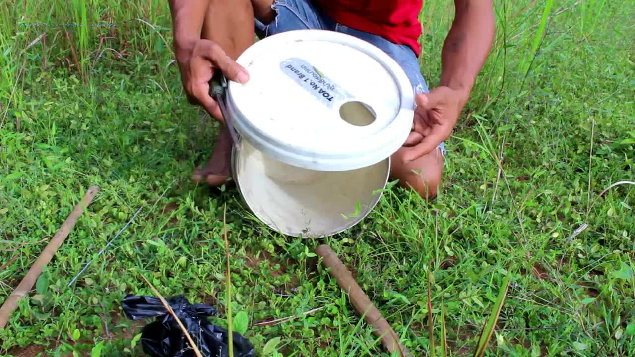 Simple Wild Cat Trap - Wild Cat Trapped Using Plastic Container