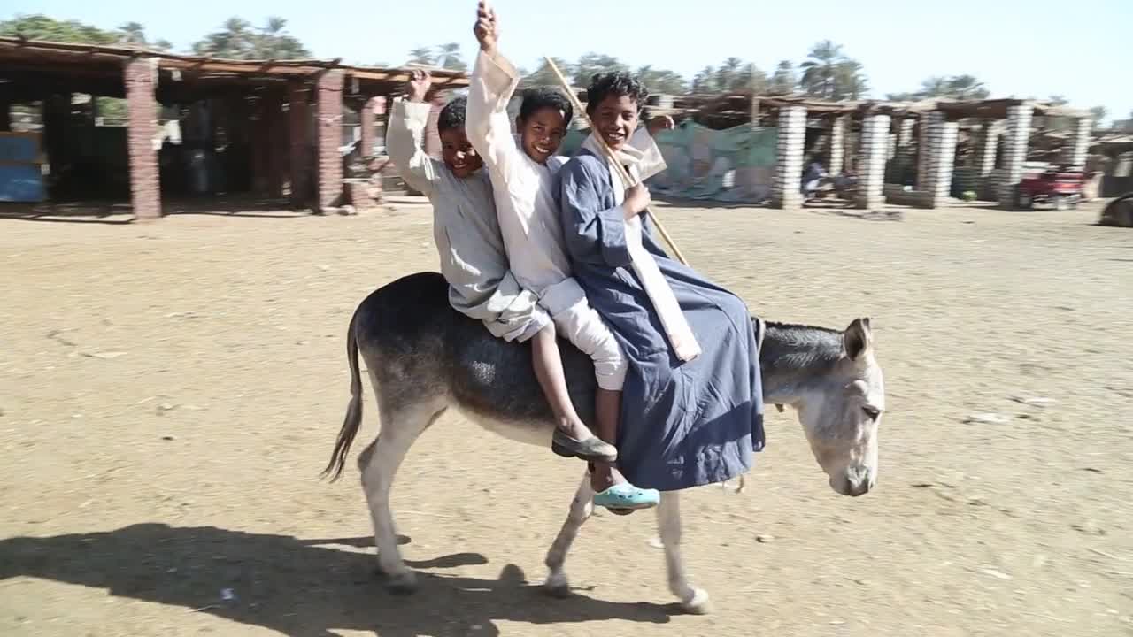 Three local boy riding donkey at Camel market