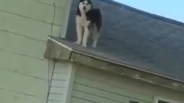 WTF