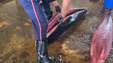 Amazing bluefin tuna cutting skills(7) And a brain spike.