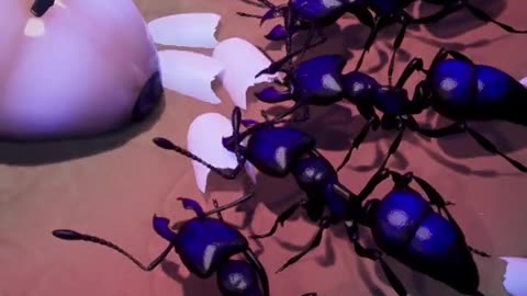 Turning in a circle and dizzy #animalworld #insectworld