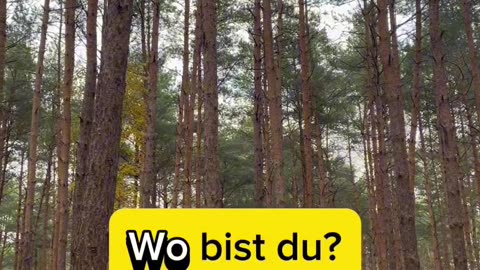 German grammar