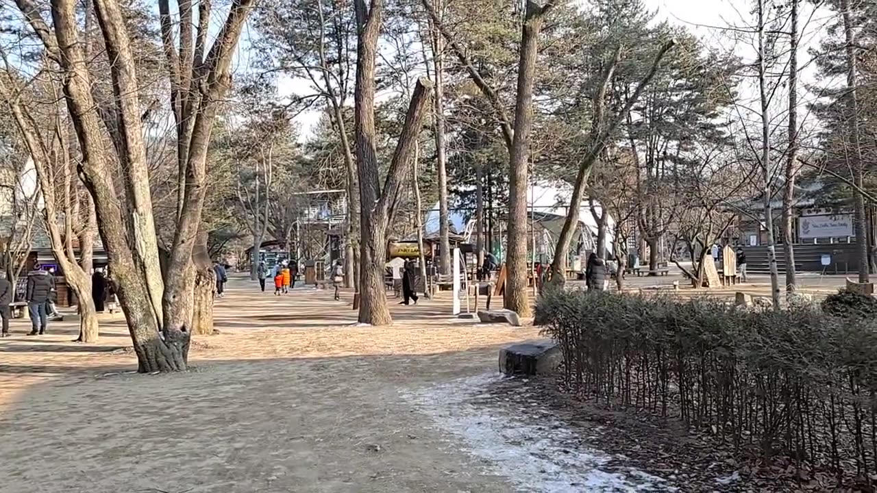 I visited Nami Island, a must-see place in Gapyeong