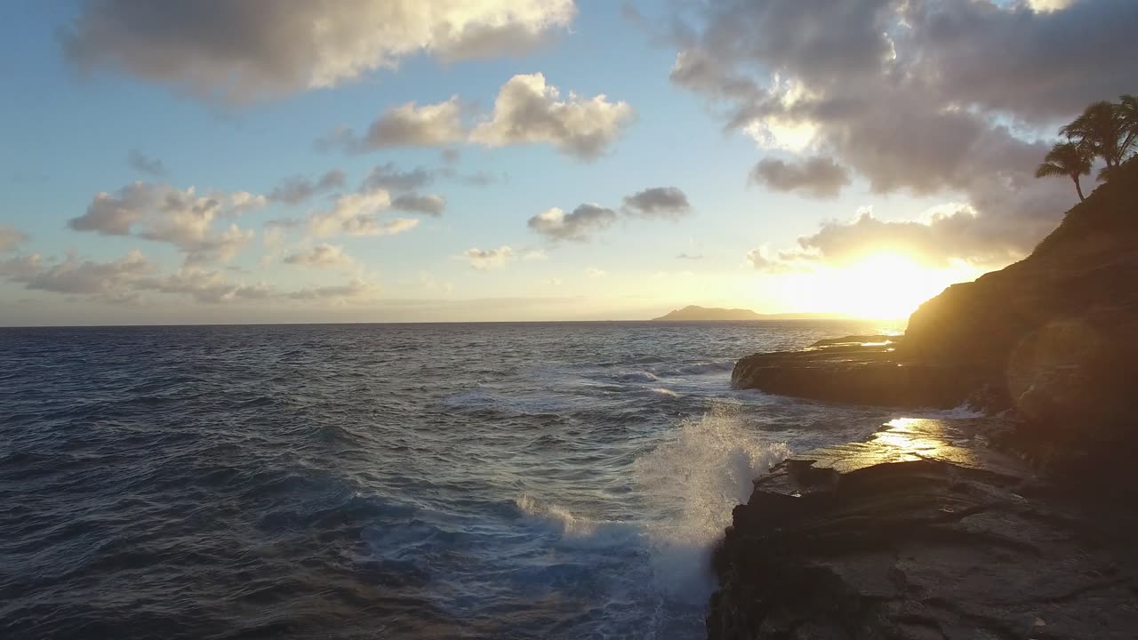 Majestic Ocean Wonders: Exploring the Depths of Earth's Blue Heart