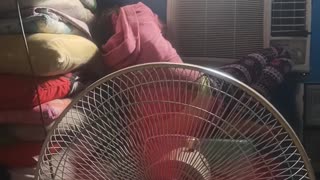 Parents Fool Daughter With Deceptive Packaging