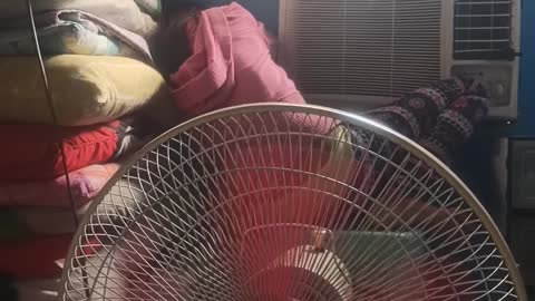 Parents Fool Daughter With Deceptive Packaging