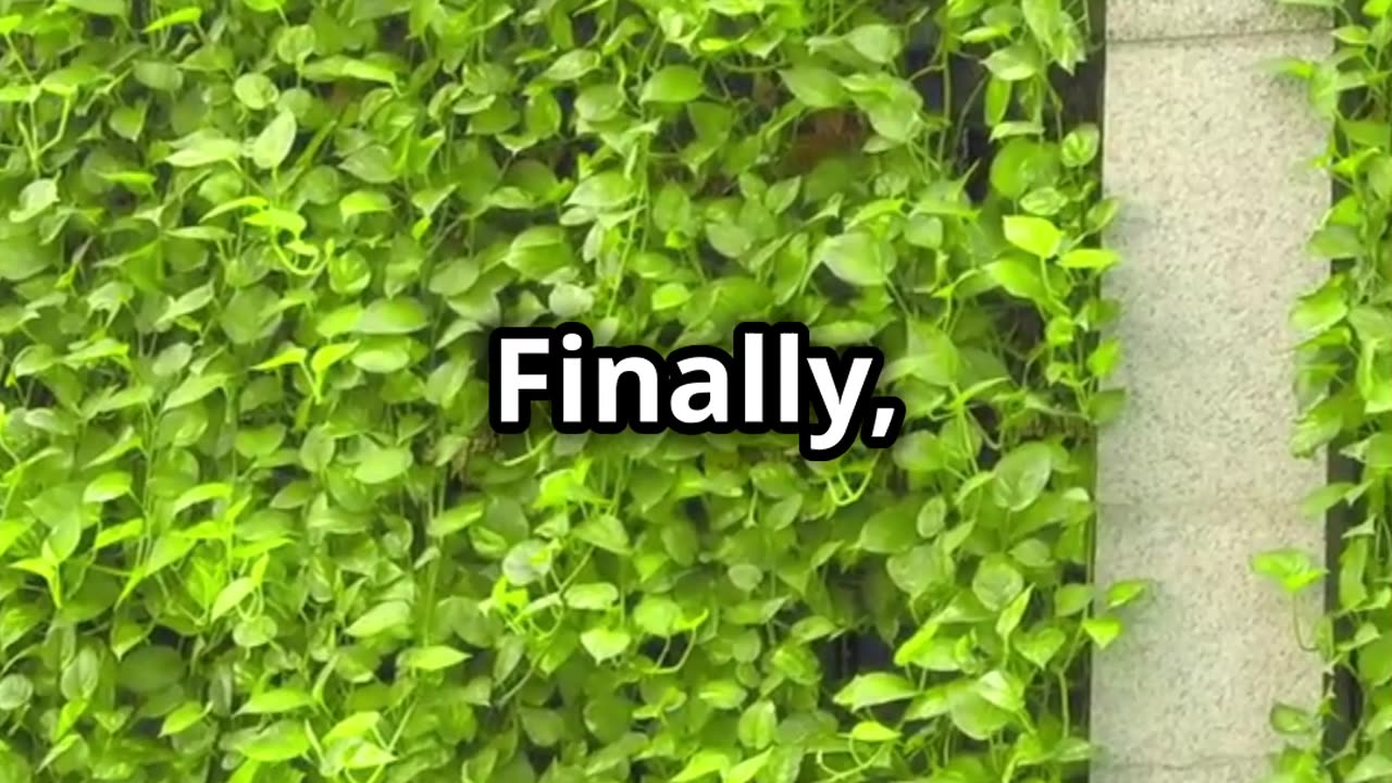 Building A Vertical Garden