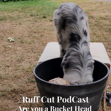 Cable, bucket head ! 4