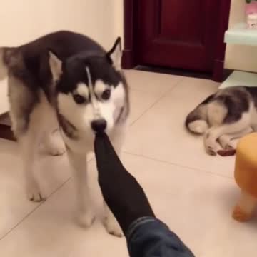 Help me take off my socks