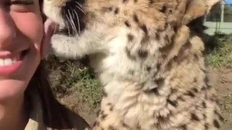 The cutest relationship ever! 🐾🐆🧡 📽