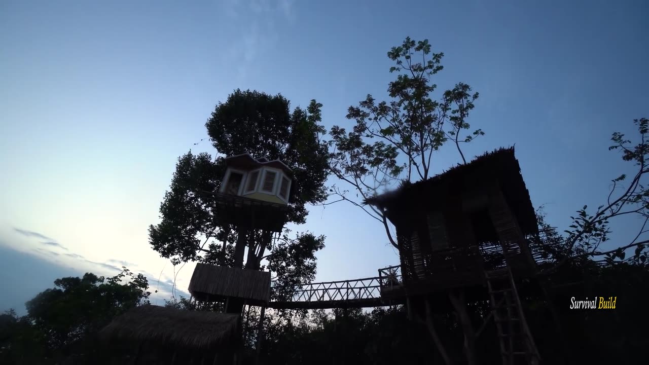 Most Beautiful Tree House